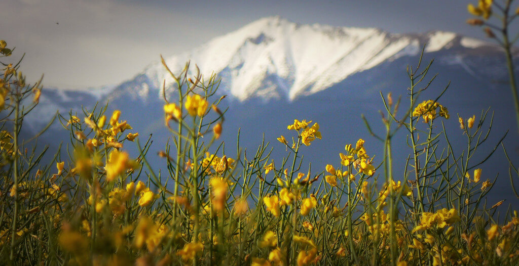 Baranec ( 2184 m n. m. )